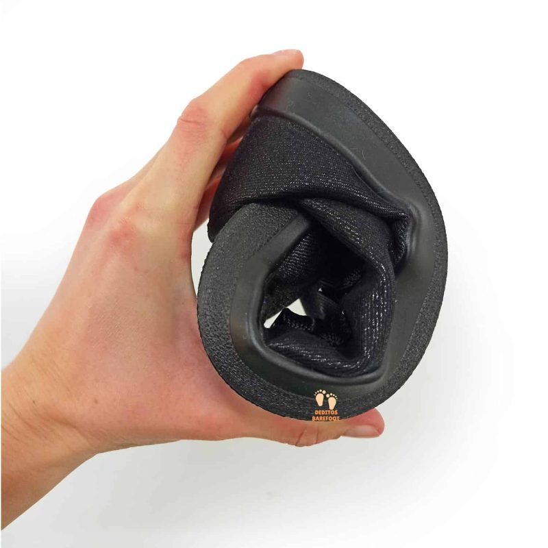 anatomic-adultos-starterA066.jpg anatomic-adultos-starterA066.jpg