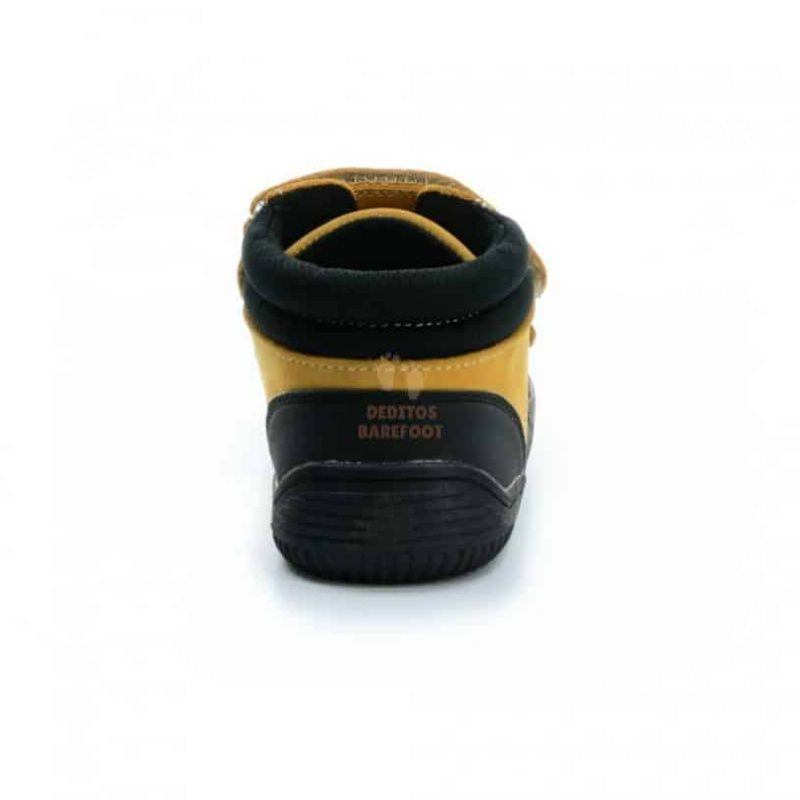 atlas-beige4.jpg atlas-beige4.jpg