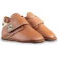 baloo-camel-magical500-1.jpg