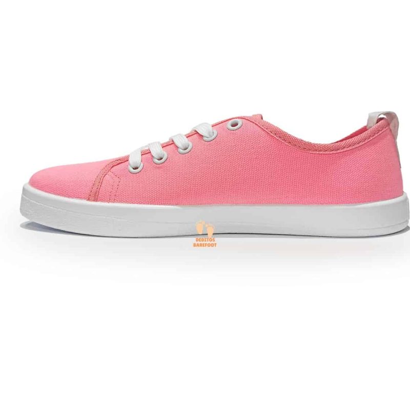 rosa-ae021.jpg rosa-ae021.jpg