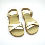 NENS - 5125-LI TORELO CAVA (DORADO)