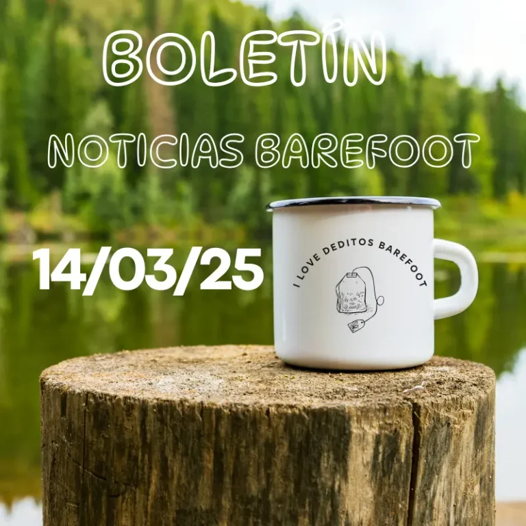 boletin noticas barefoot